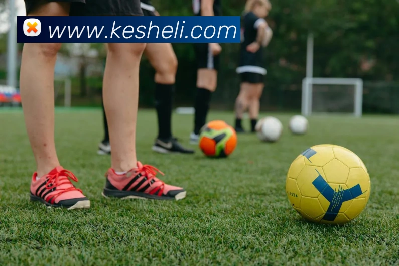 投注app官网平台生态图